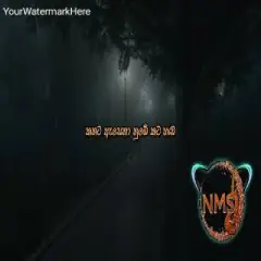 Nela Gaththada නෙලා ගත්තද